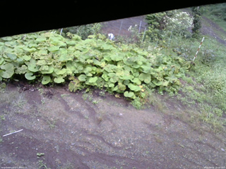 長野県菅平高原 ゆたか山荘 駐車場 2025/09/05 16:00