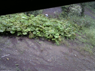 長野県菅平高原 ゆたか山荘 駐車場 2025/09/05 17:30
