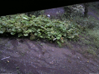 長野県菅平高原 ゆたか山荘 駐車場 2025/09/05 18:00