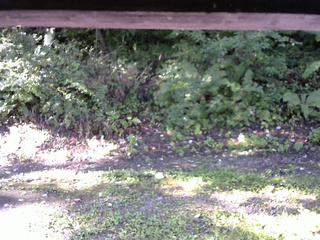 長野県菅平高原 ゆたか山荘 南側 2025/09/06 07:30