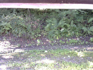 長野県菅平高原 ゆたか山荘 南側 2025/09/06 08:00