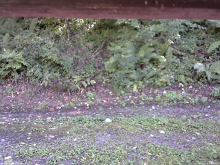 長野県菅平高原 ゆたか山荘 南側 2025/09/06 14:15