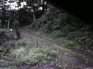 長野県菅平高原 ゆたか山荘 東側(坂下) 2025/09/06 05:15
