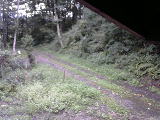 長野県菅平高原 ゆたか山荘 東側(坂下) 2025/09/06 05:45