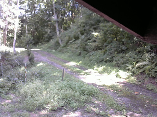 長野県菅平高原 ゆたか山荘 東側(坂下) 2025/09/06 12:30