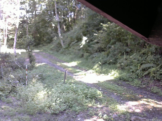 長野県菅平高原 ゆたか山荘 東側(坂下) 2025/09/06 12:45