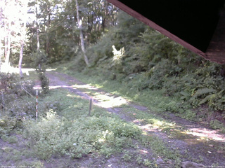 長野県菅平高原 ゆたか山荘 東側(坂下) 2025/09/06 13:00