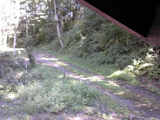 長野県菅平高原 ゆたか山荘 東側(坂下) 2025/09/06 13:30