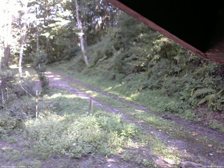 長野県菅平高原 ゆたか山荘 東側(坂下) 2025/09/06 14:15