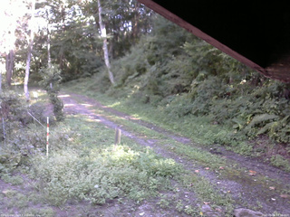 長野県菅平高原 ゆたか山荘 東側(坂下) 2025/09/06 14:30