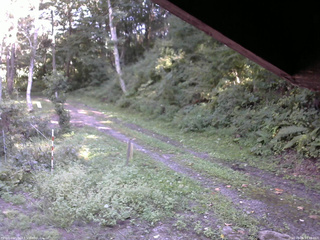 長野県菅平高原 ゆたか山荘 東側(坂下) 2025/09/06 14:45