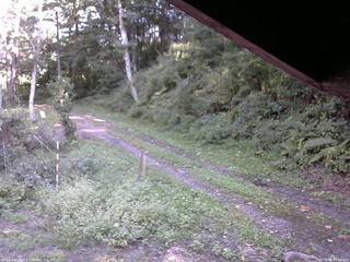 長野県菅平高原 ゆたか山荘 東側(坂下) 2025/09/06 15:00