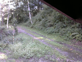 長野県菅平高原 ゆたか山荘 東側(坂下) 2025/09/06 15:15