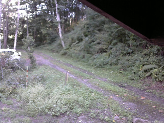 長野県菅平高原 ゆたか山荘 東側(坂下) 2025/09/06 16:00