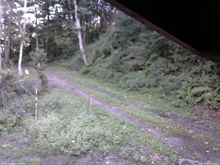 長野県菅平高原 ゆたか山荘 東側(坂下) 2025/09/06 16:30