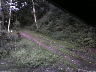 長野県菅平高原 ゆたか山荘 東側(坂下) 2025/09/06 18:15
