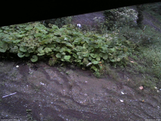 長野県菅平高原 ゆたか山荘 駐車場 2025/09/06 05:15