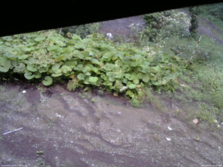 長野県菅平高原 ゆたか山荘 駐車場 2025/09/06 05:45