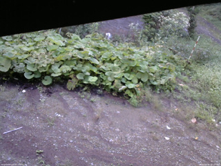 長野県菅平高原 ゆたか山荘 駐車場 2025/09/06 06:15