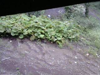 長野県菅平高原 ゆたか山荘 駐車場 2025/09/06 06:30