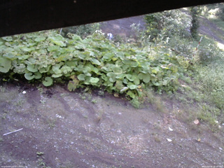 長野県菅平高原 ゆたか山荘 駐車場 2025/09/06 06:45