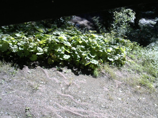 長野県菅平高原 ゆたか山荘 駐車場 2025/09/06 08:30