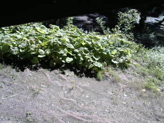 長野県菅平高原 ゆたか山荘 駐車場 2025/09/06 08:45