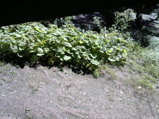 長野県菅平高原 ゆたか山荘 駐車場 2025/09/06 09:00