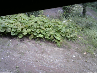 長野県菅平高原 ゆたか山荘 駐車場 2025/09/06 10:15
