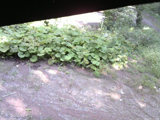 長野県菅平高原 ゆたか山荘 駐車場 2025/09/06 12:30