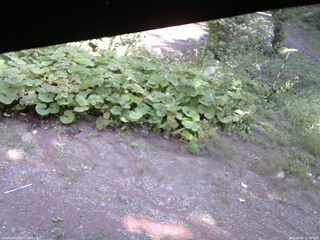 長野県菅平高原 ゆたか山荘 駐車場 2025/09/06 12:45