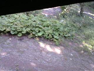 長野県菅平高原 ゆたか山荘 駐車場 2025/09/06 13:15