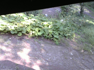 長野県菅平高原 ゆたか山荘 駐車場 2025/09/06 14:00