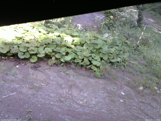 長野県菅平高原 ゆたか山荘 駐車場 2025/09/06 14:30
