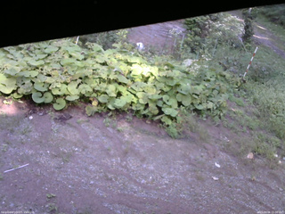 長野県菅平高原 ゆたか山荘 駐車場 2025/09/06 15:00