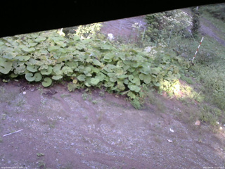 長野県菅平高原 ゆたか山荘 駐車場 2025/09/06 15:15