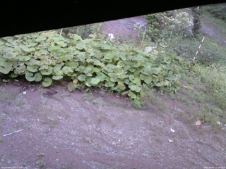 長野県菅平高原 ゆたか山荘 駐車場 2025/09/06 15:30