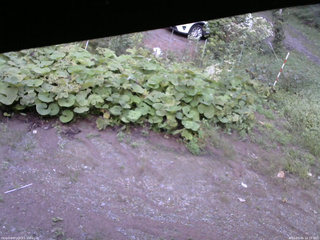 長野県菅平高原 ゆたか山荘 駐車場 2025/09/06 16:15