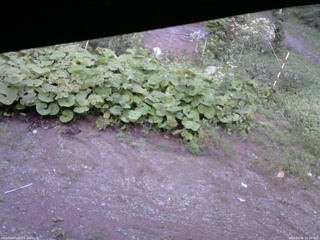 長野県菅平高原 ゆたか山荘 駐車場 2025/09/06 16:30