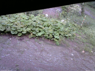 長野県菅平高原 ゆたか山荘 駐車場 2025/09/06 16:45