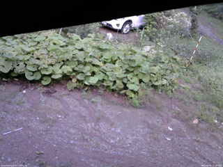 長野県菅平高原 ゆたか山荘 駐車場 2025/09/06 17:00