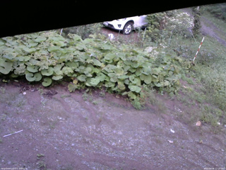 長野県菅平高原 ゆたか山荘 駐車場 2025/09/06 17:15