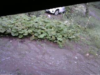 長野県菅平高原 ゆたか山荘 駐車場 2025/09/06 17:45