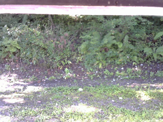 長野県菅平高原 ゆたか山荘 南側 2025/09/07 08:00