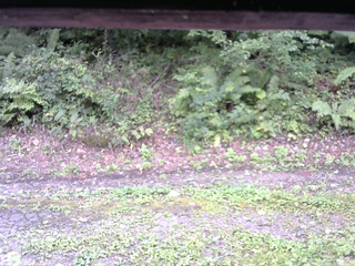 長野県菅平高原 ゆたか山荘 南側 2025/09/07 14:15