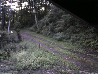 長野県菅平高原 ゆたか山荘 東側(坂下) 2025/09/07 05:15