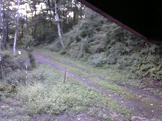 長野県菅平高原 ゆたか山荘 東側(坂下) 2025/09/07 05:45