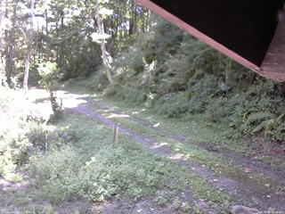 長野県菅平高原 ゆたか山荘 東側(坂下) 2025/09/07 10:45