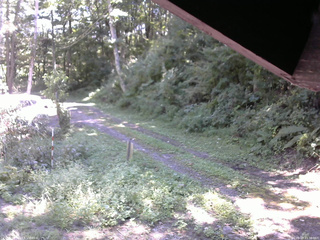 長野県菅平高原 ゆたか山荘 東側(坂下) 2025/09/07 11:30