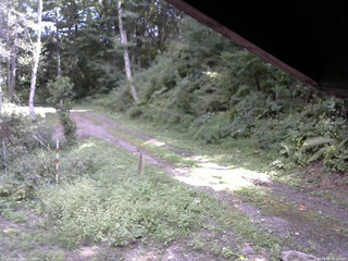 長野県菅平高原 ゆたか山荘 東側(坂下) 2025/09/07 12:30
